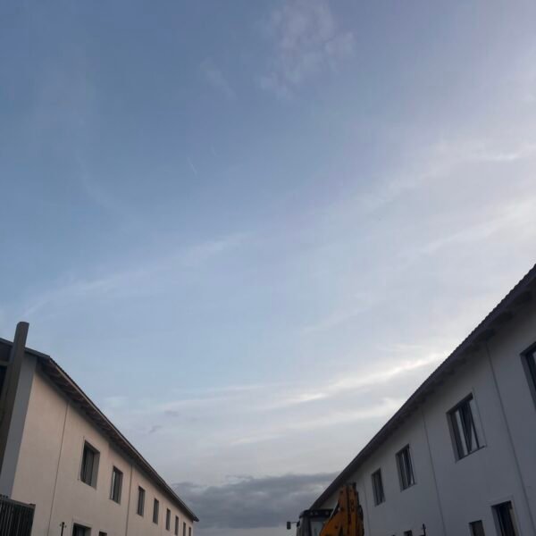 IMG_9654-1536x2048